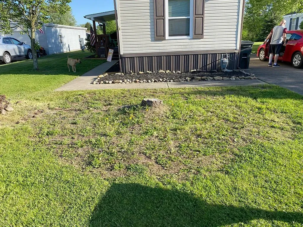 Grassy yard with a house, a tree stump in the foreground, and a car parked on the side.
