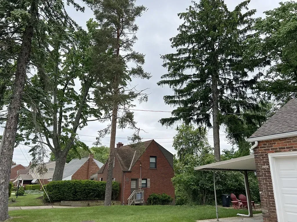 Brick houses with tall trees against a cloudy sky, lawn in the foreground.