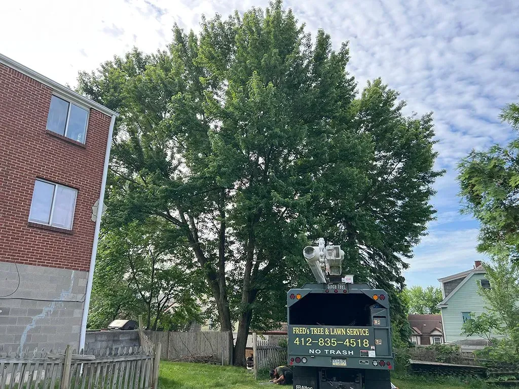Tree being trimmed next to a brick building and a green truck.