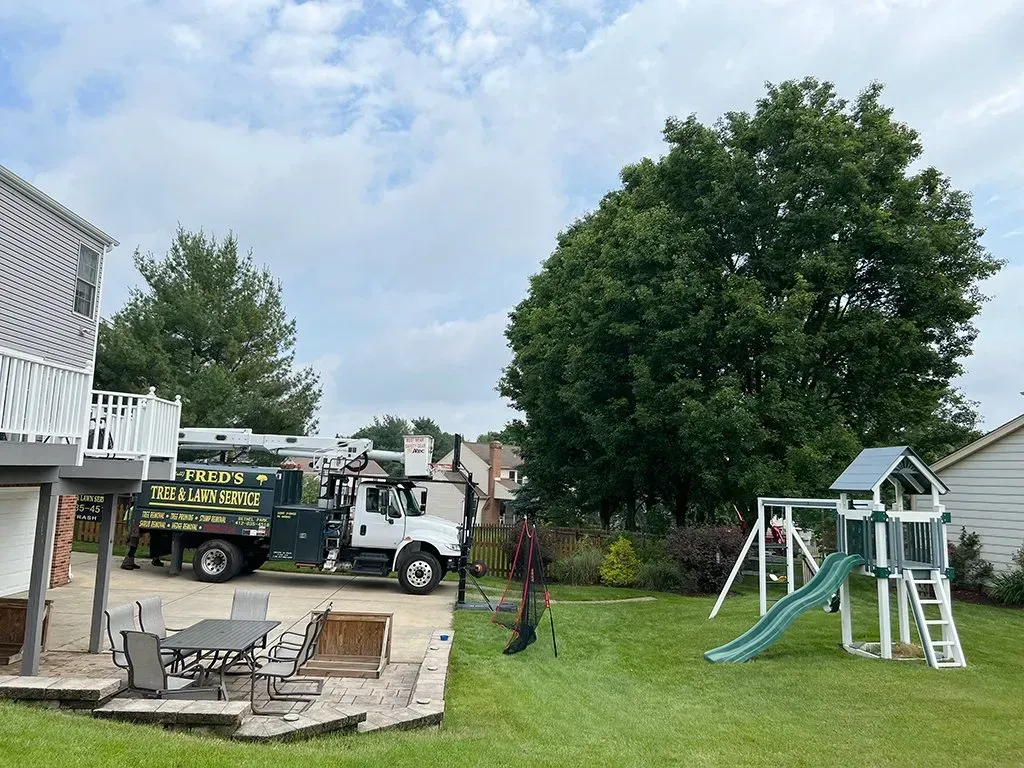 Truck parked near a house, backyard with a playground and large tree under cloudy sky.