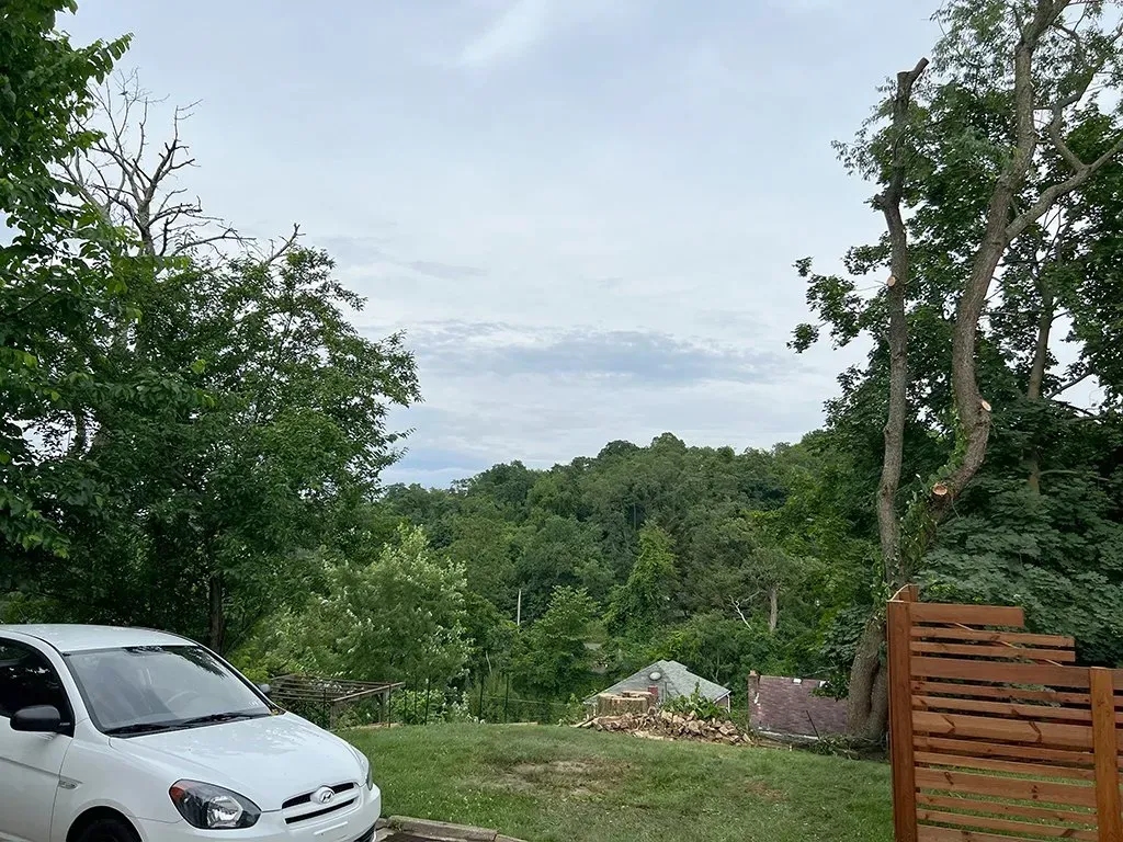 White car parked on a grassy hill overlooking a lush green forest under a cloudy sky.