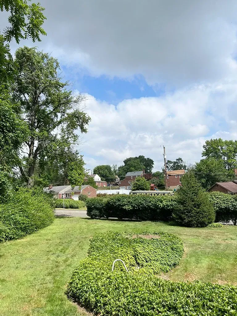 Green lawn, trees, and bushes. Houses visible in the distance under a partly cloudy sky.