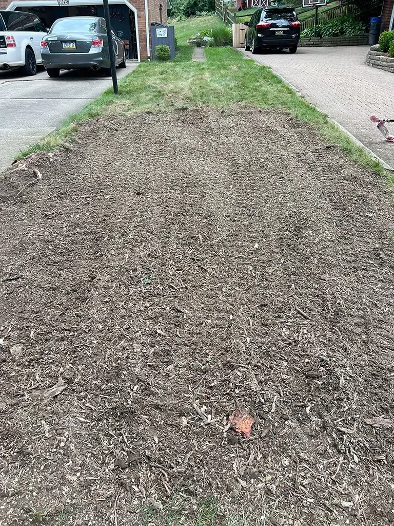 Wood chips cover a large strip of land between a driveway and a paved walkway, with parked cars visible.