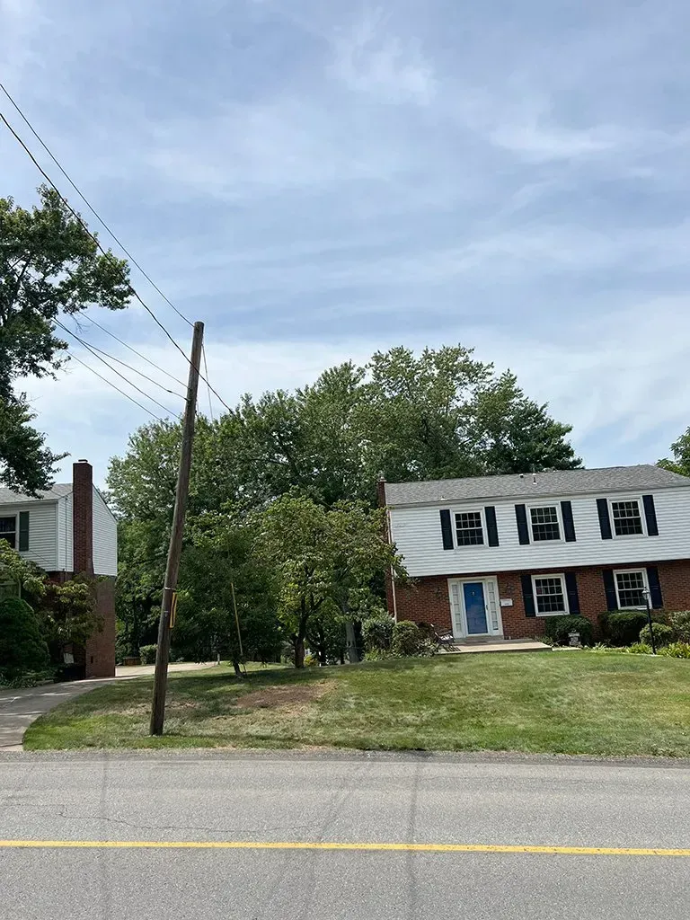 Row of brick houses with black shutters, a utility pole, and green grass under a cloudy sky.