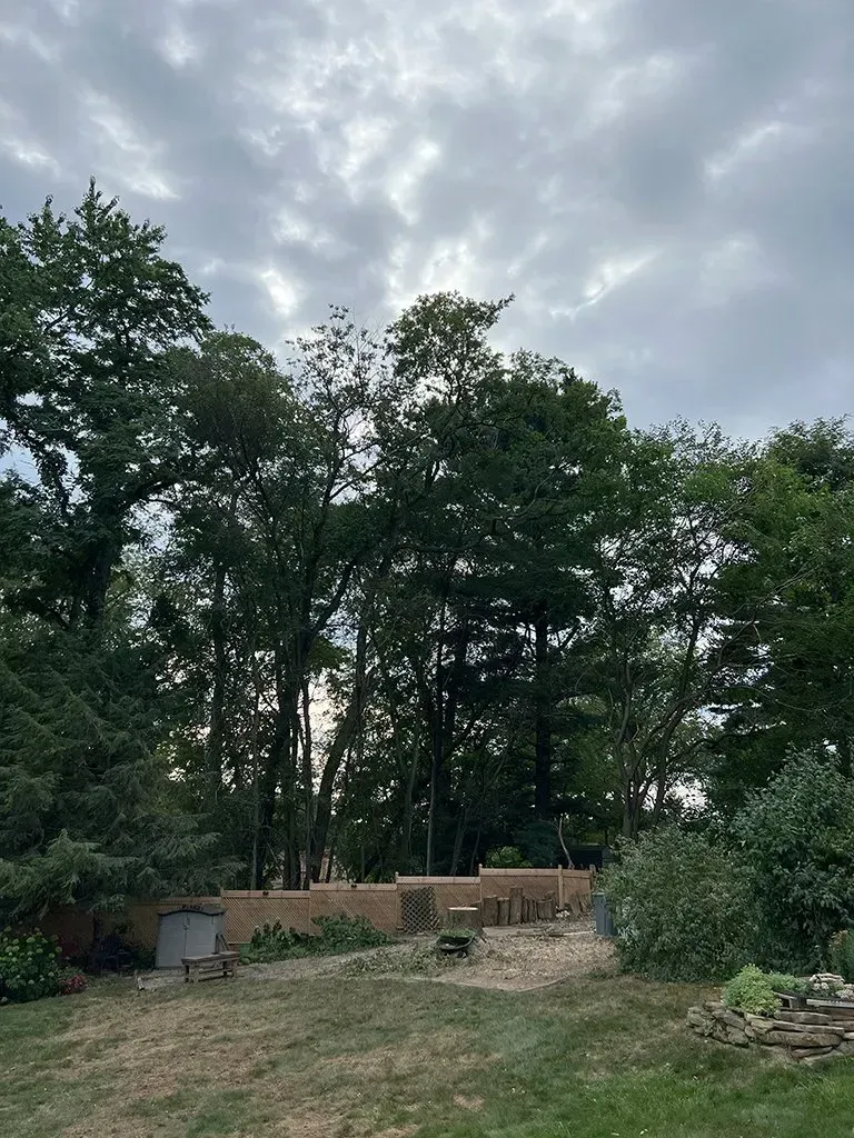 Lush green trees against a cloudy sky; a dry lawn with a low wooden fence in the foreground.