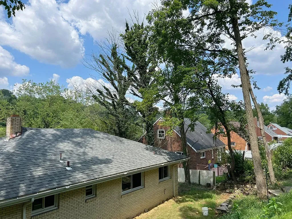 Roofs of homes with trees and a blue sky with clouds.