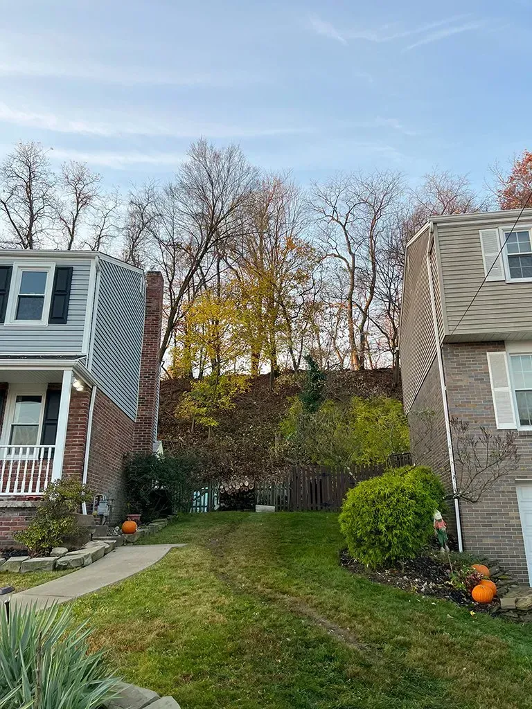 Houses with fall foliage, a grassy hill, and a driveway.