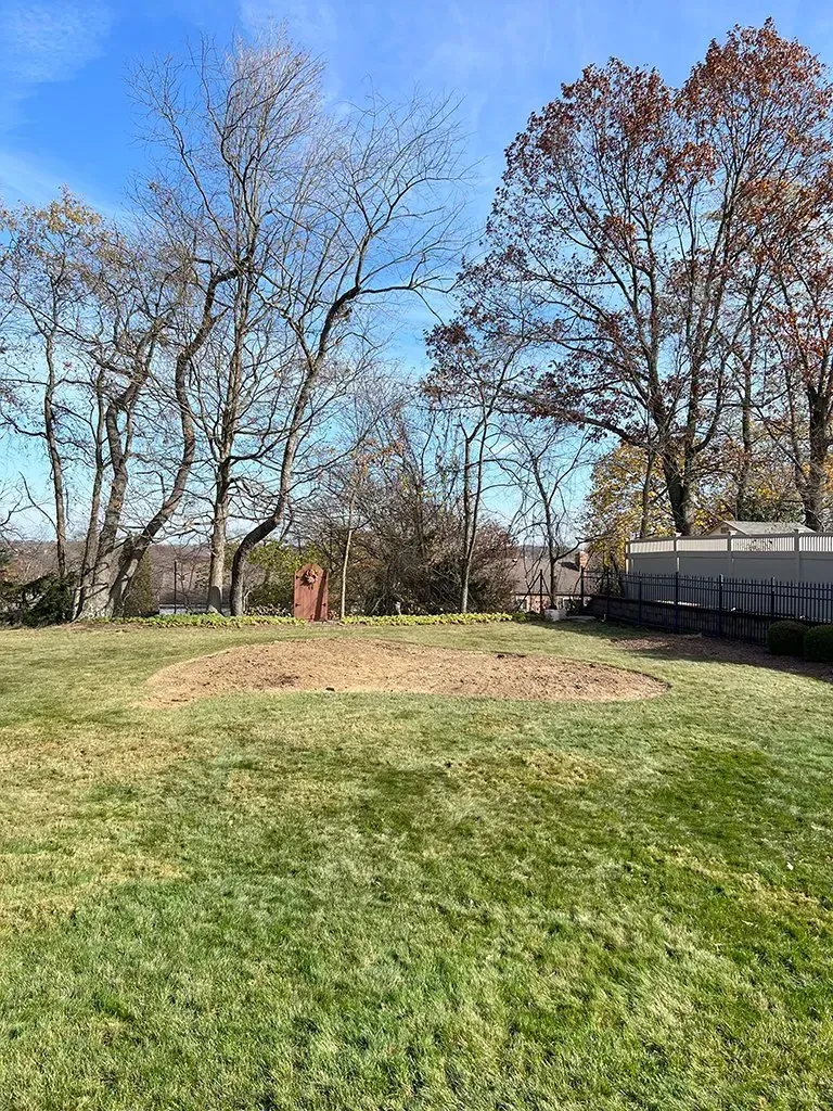 Grassy backyard with trees in the background under a clear blue sky; brown patch of dirt.