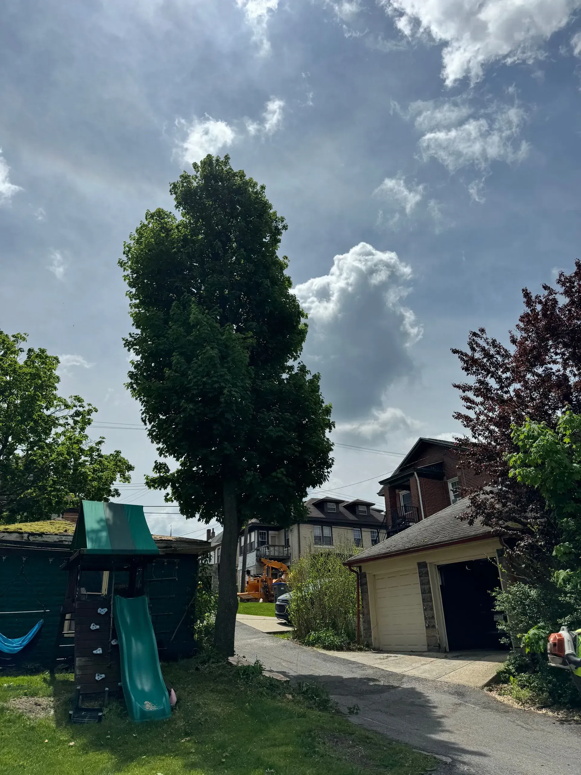 A tall tree in a yard with a children's playset, clouds in the sky, and a garage.
