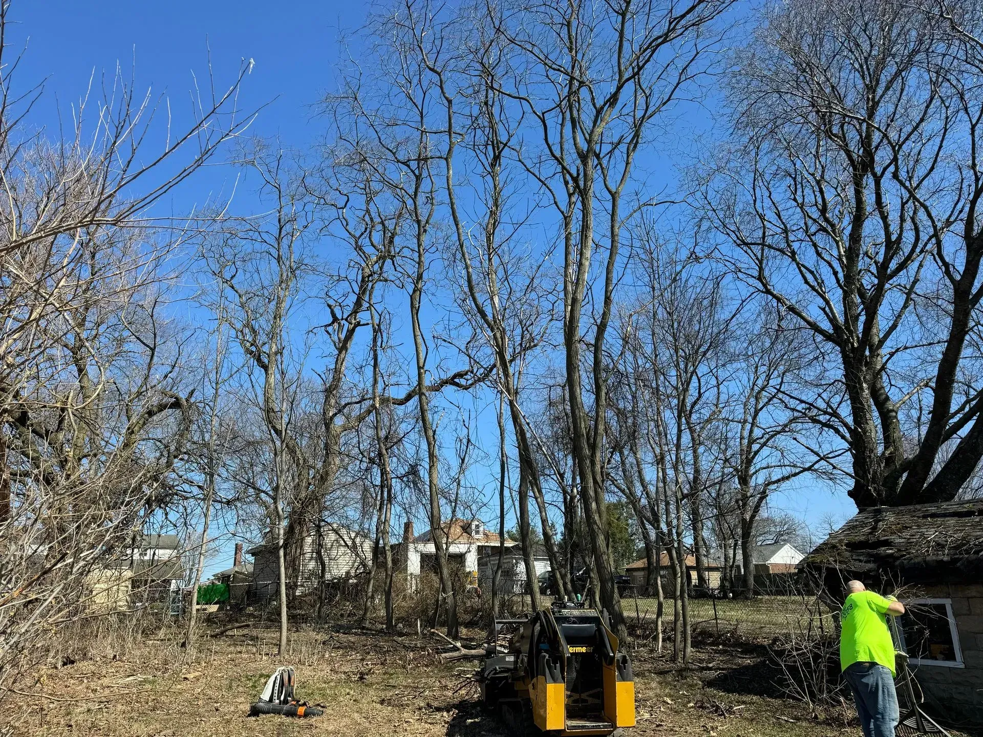 Man pruning trees in a yard with a small yellow vehicle, against a blue sky.