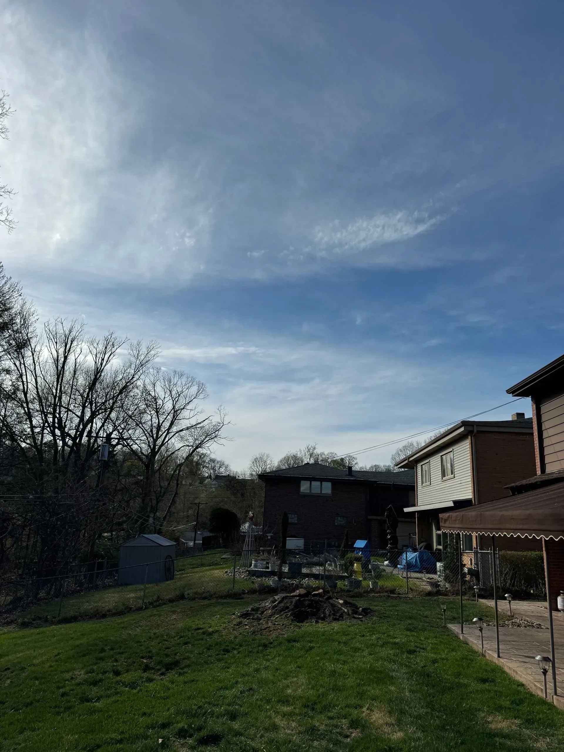 Backyard scene with grass, trees, buildings under a cloudy blue sky.