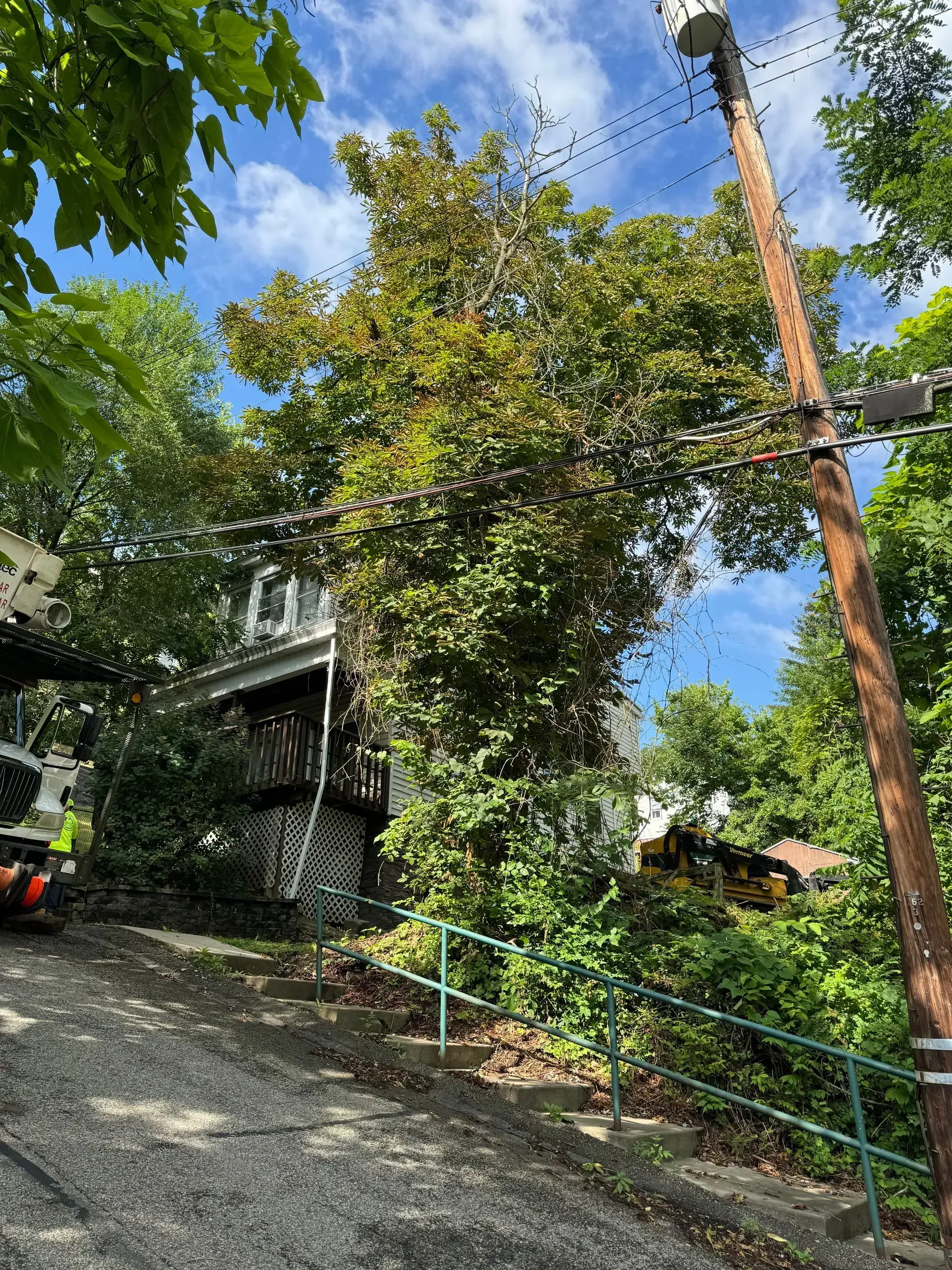 An uphill residential street with a house obscured by trees, stairs with a railing, and a utility pole.