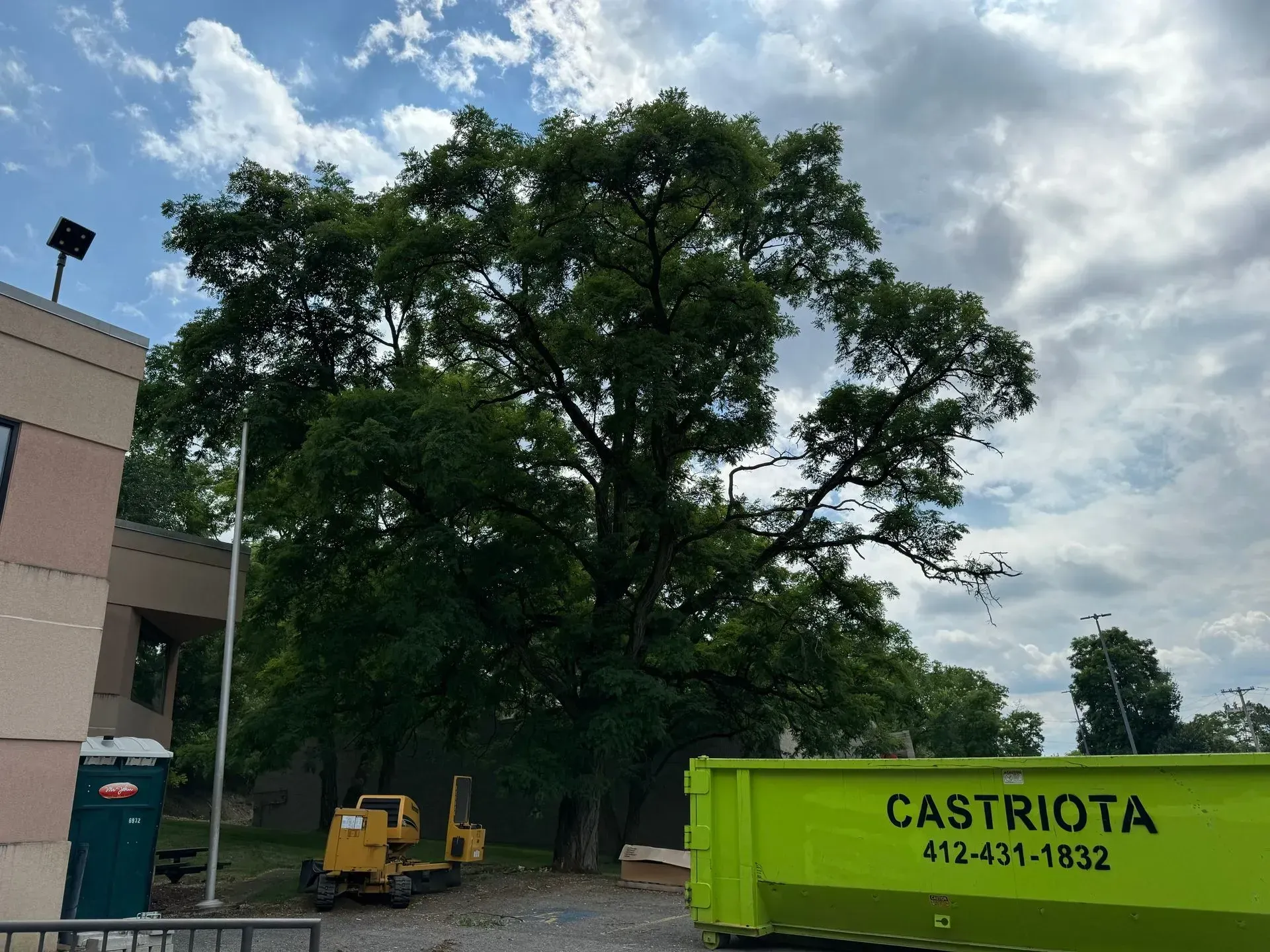 Large tree next to a building and construction area, under a cloudy sky.