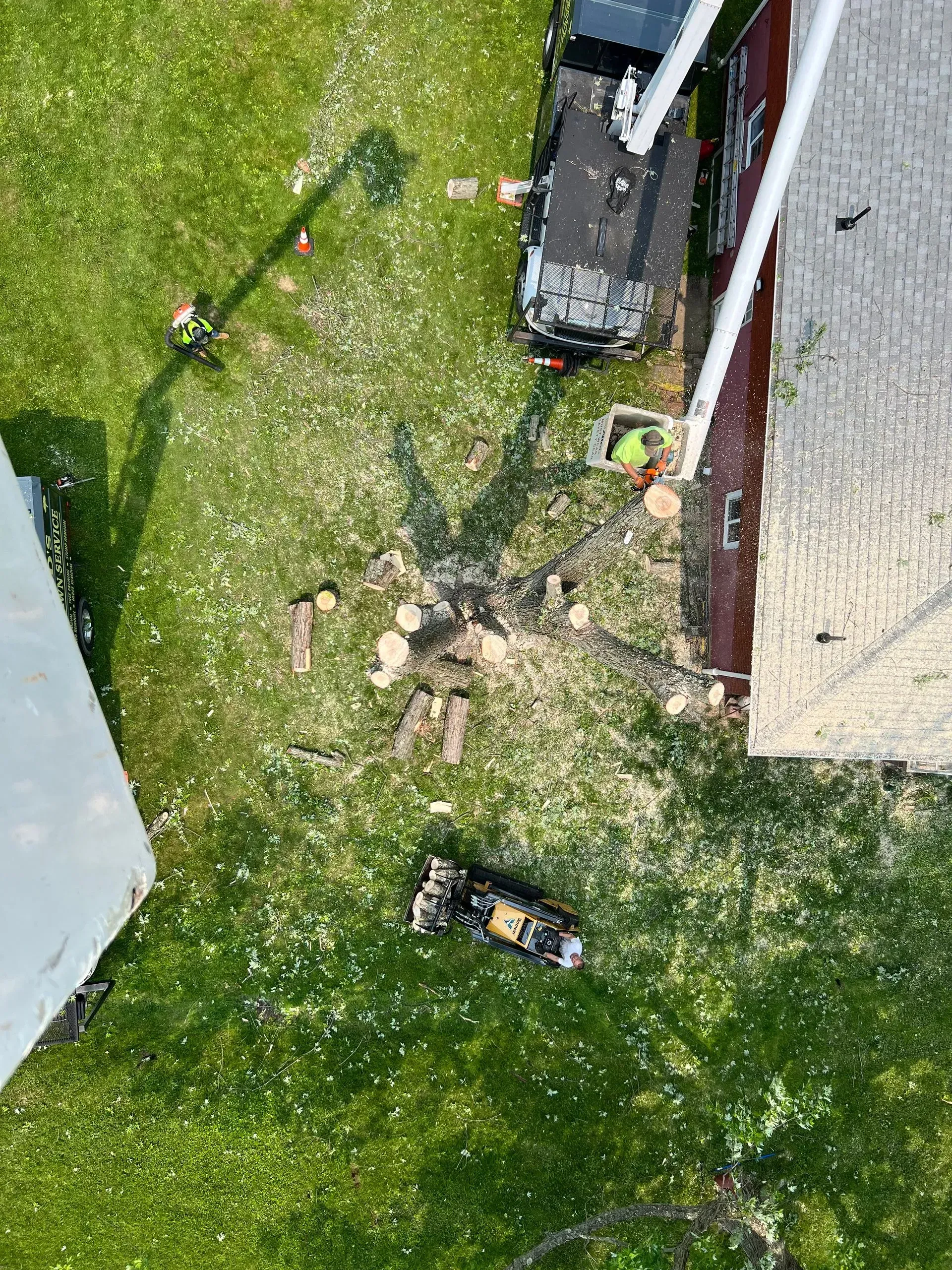 Tree removal: a stump surrounded by wood chips; an aerial lift and workers near a building.