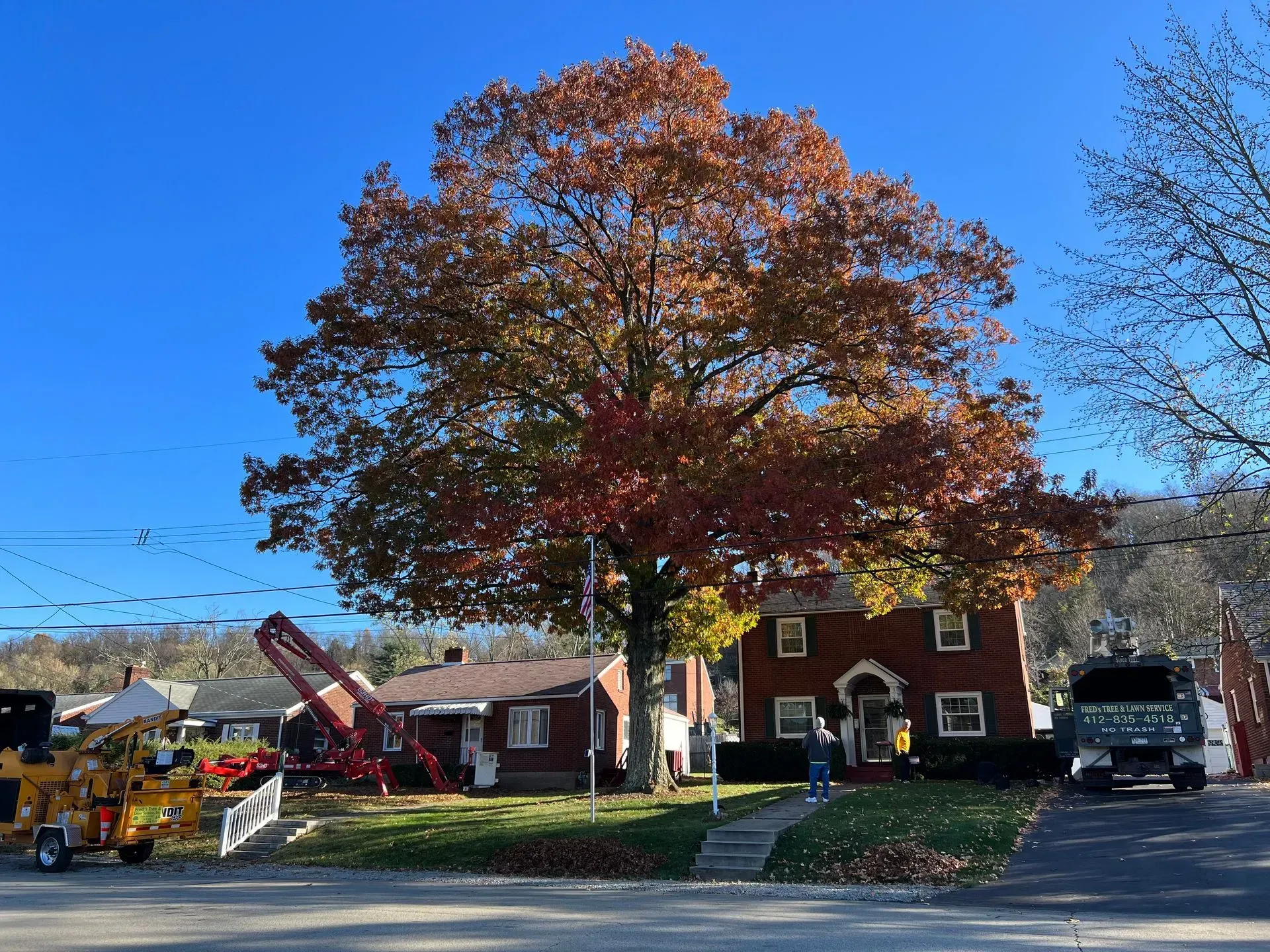 Tree removal in front of brick houses. Autumn foliage, crane, and trucks visible.