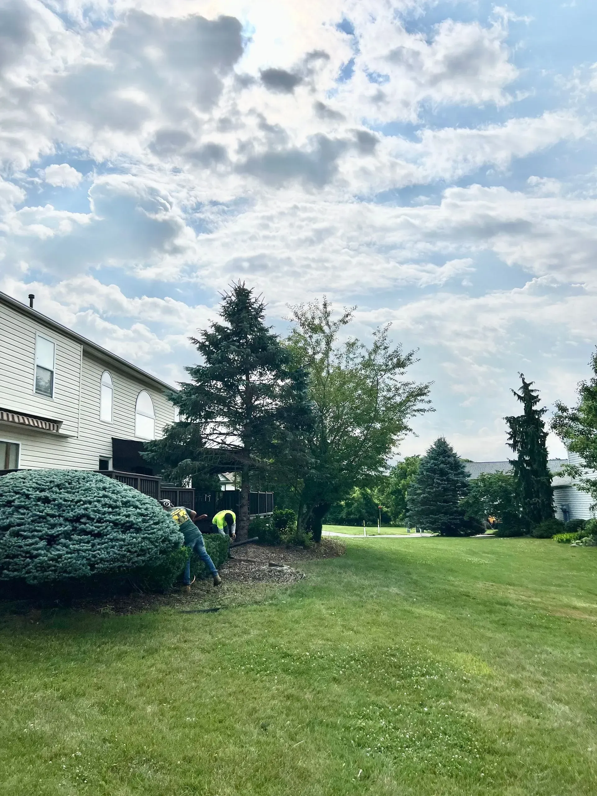 Backyard with lush green grass, trees, and a person working near a house under a cloudy sky.