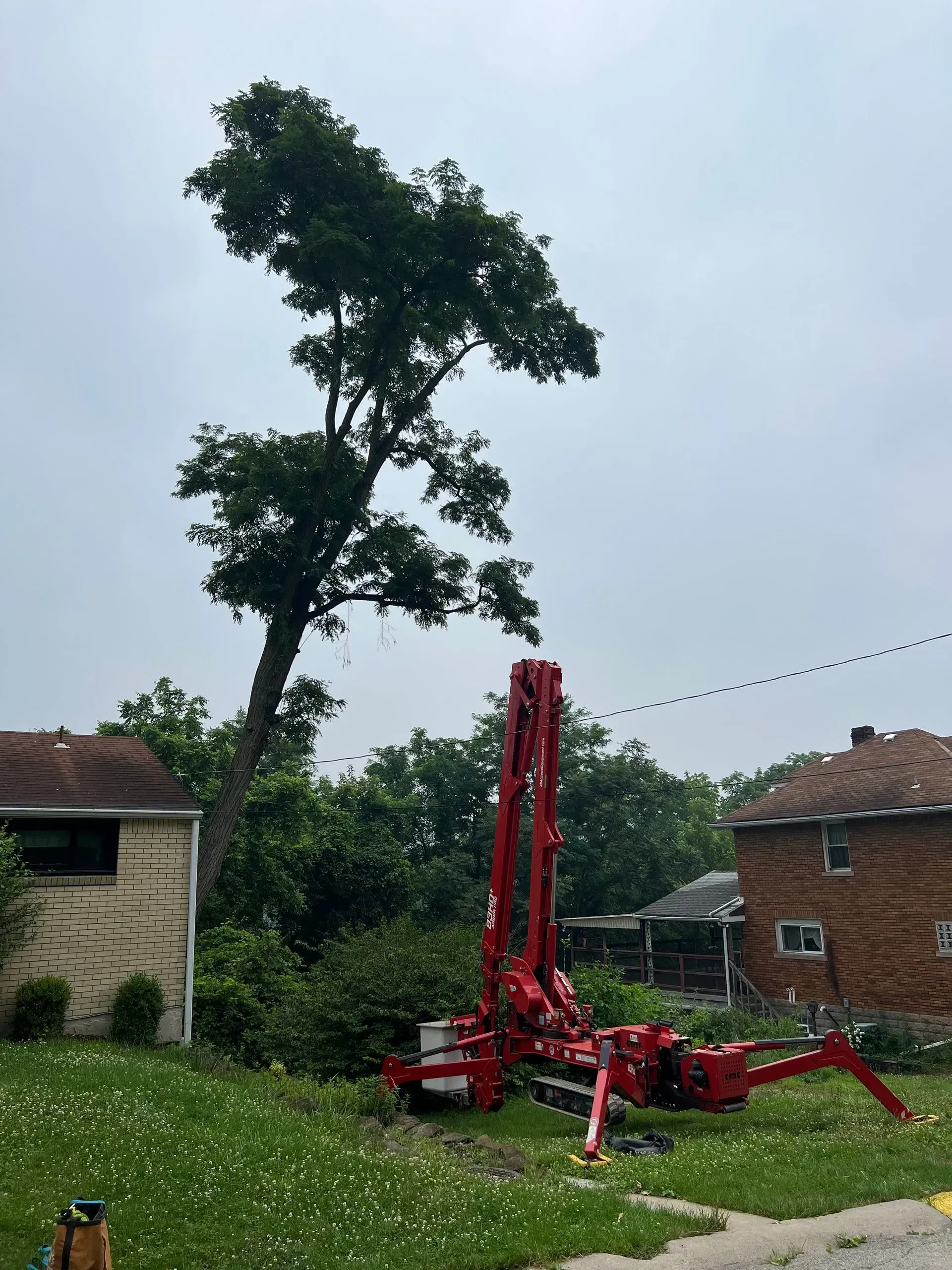 A red concrete pump truck near a tall tree, with houses and overcast sky in the background.