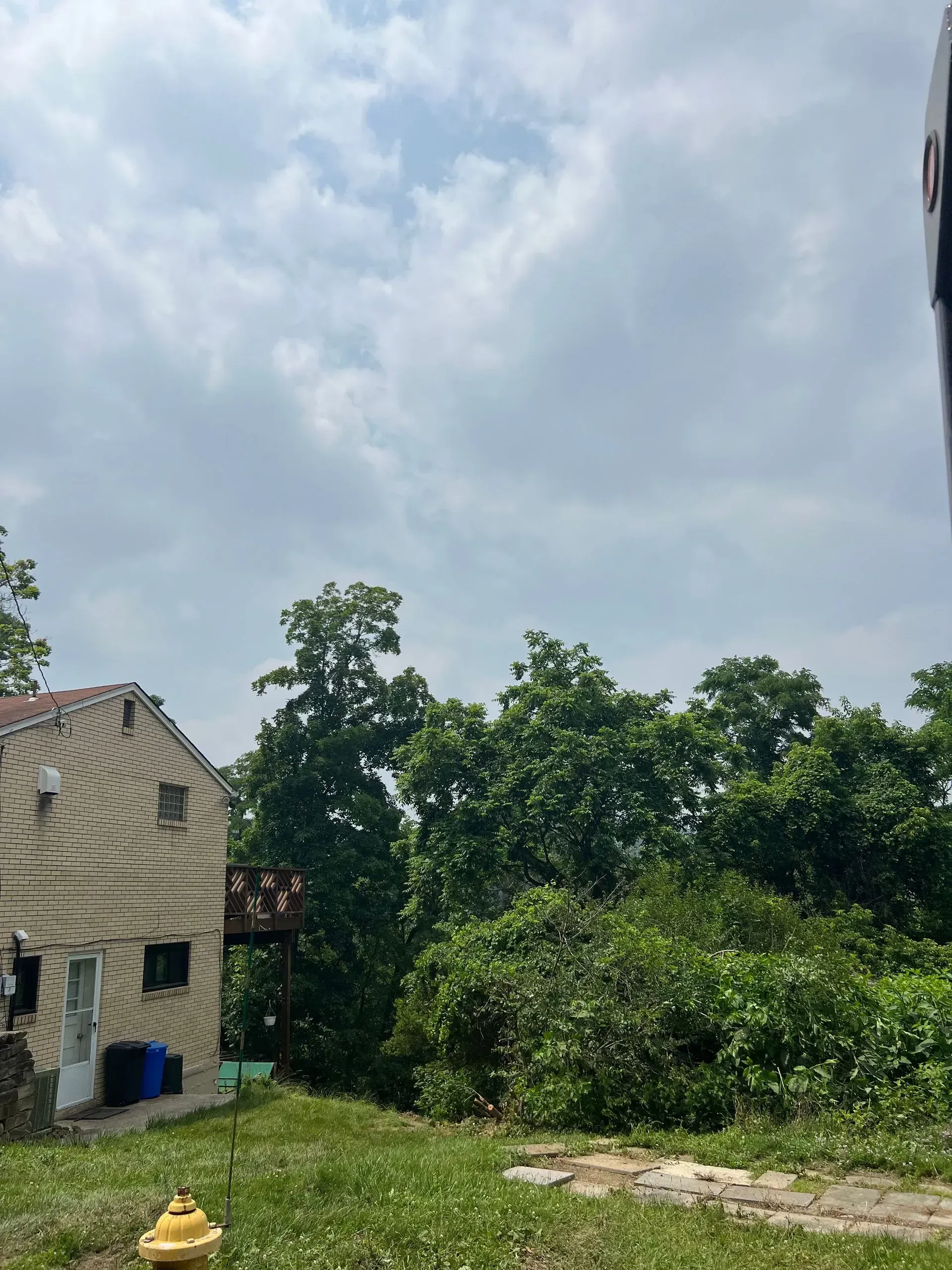 A two-story house with wood-grain design, trees, and a cloudy sky.