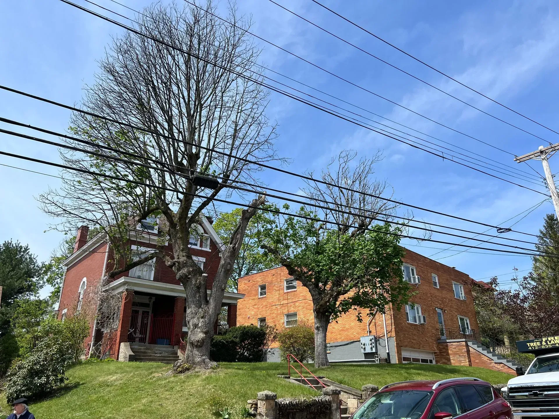 Red brick building with large tree in front, power lines overhead, sunny day.