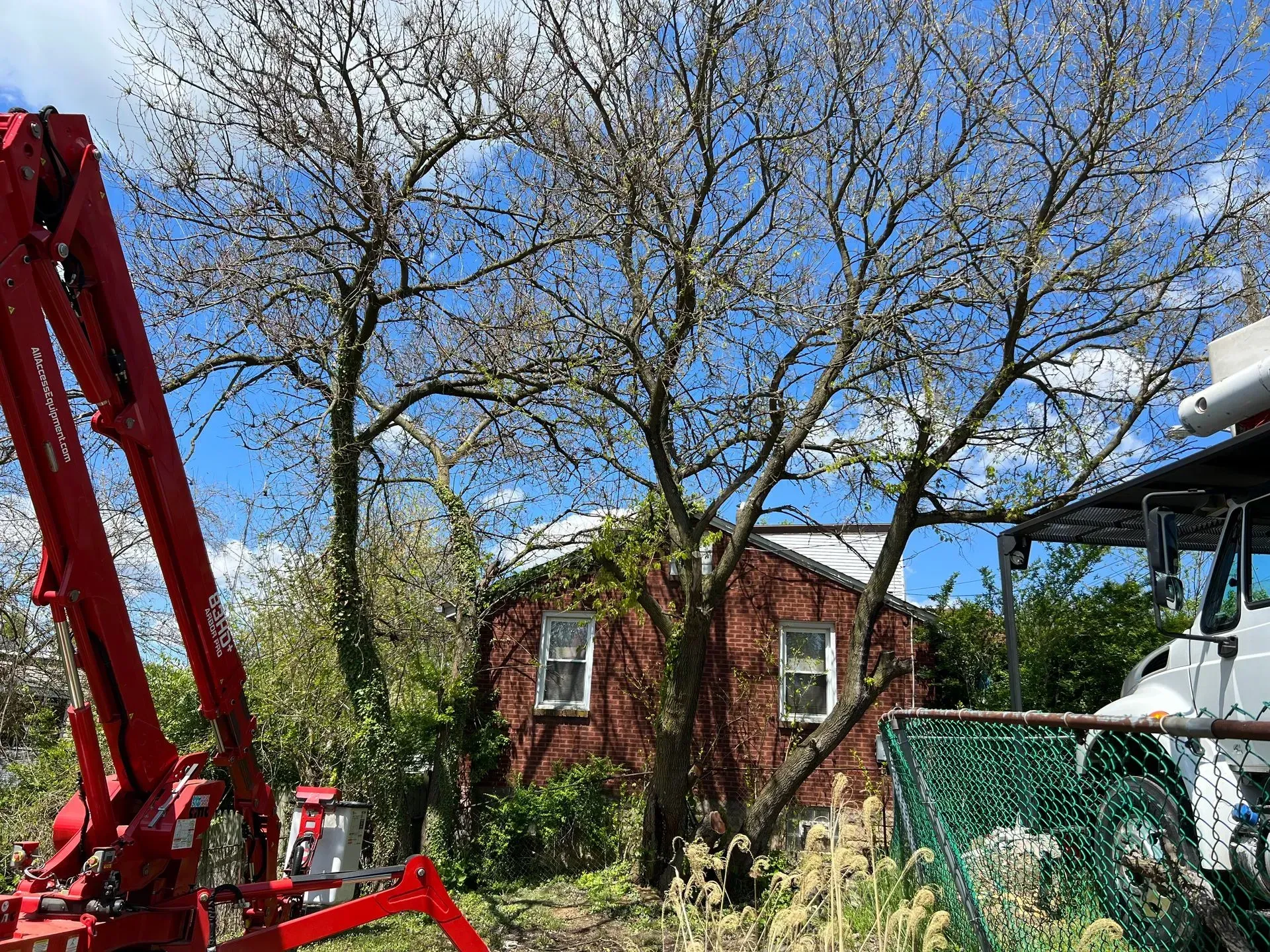 Red brick building behind a flowering tree, red machinery at left, white vehicle at right, sunny day.