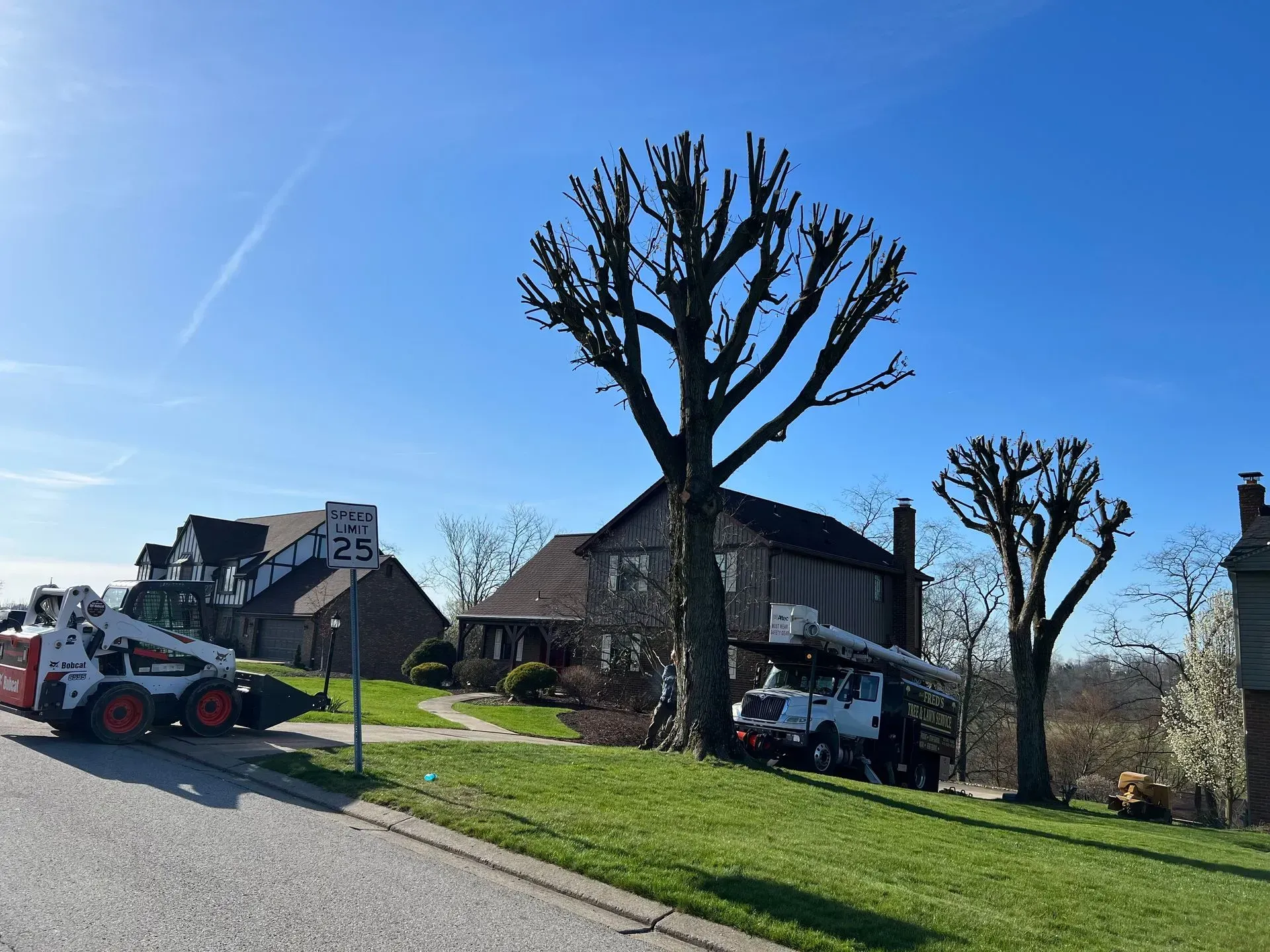 Bobcat and truck pruning trees in front of a house on a sunny day.
