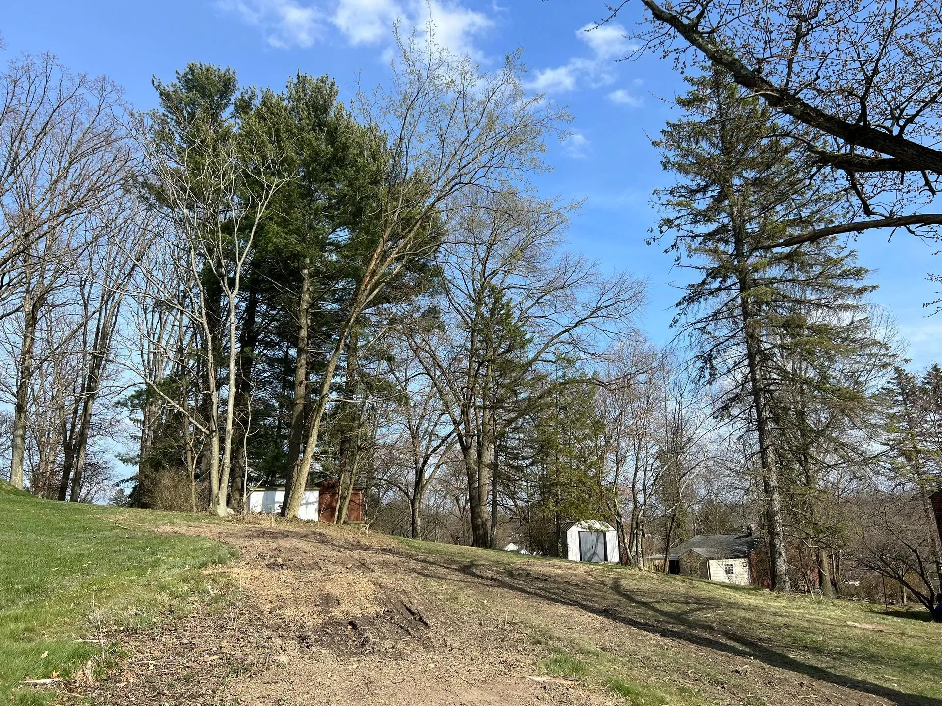 Hillside with trees, mostly bare, and small white structures under a blue sky.