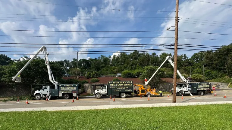 Line of utility trucks trimming trees near power lines on a sunny day.