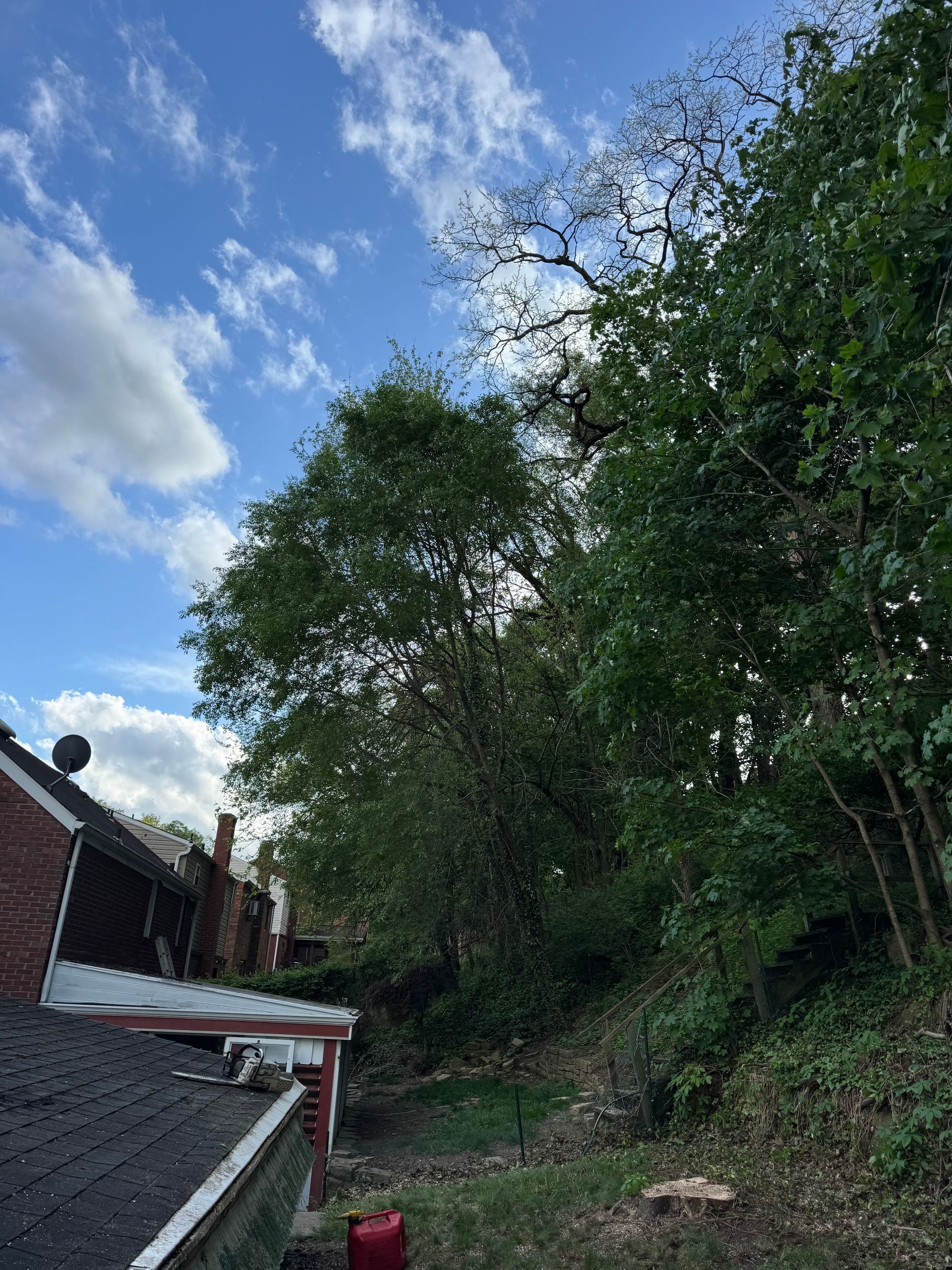 Wooded hillside beside a brick house under a blue sky with scattered clouds
