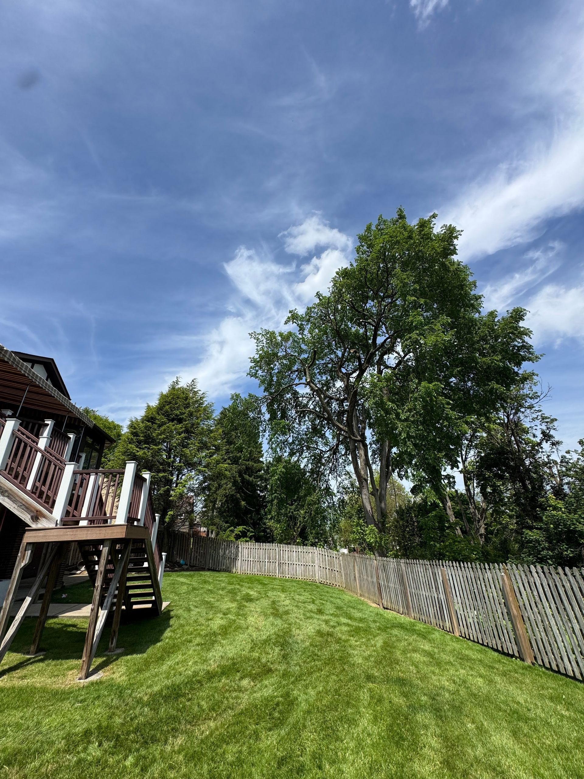 Backyard with green lawn, trees, and a wooden deck under a blue sky