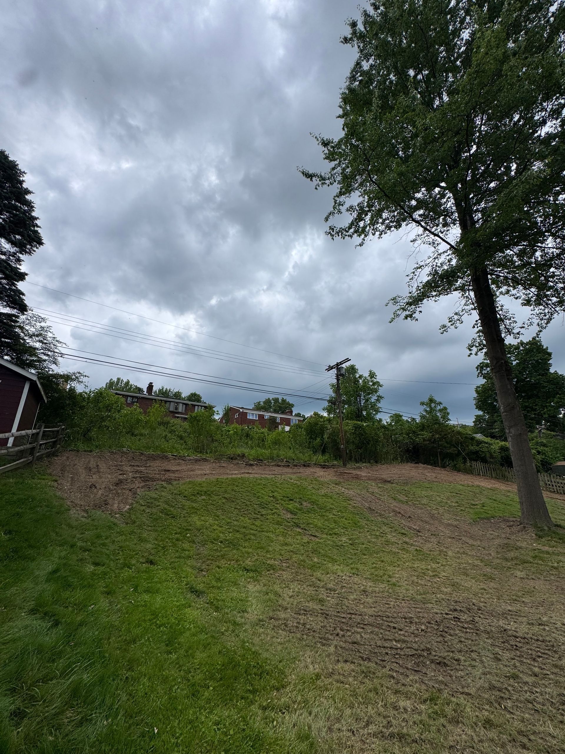 Grassy hillside with cloudy sky, distant trees, and a single tree on the right