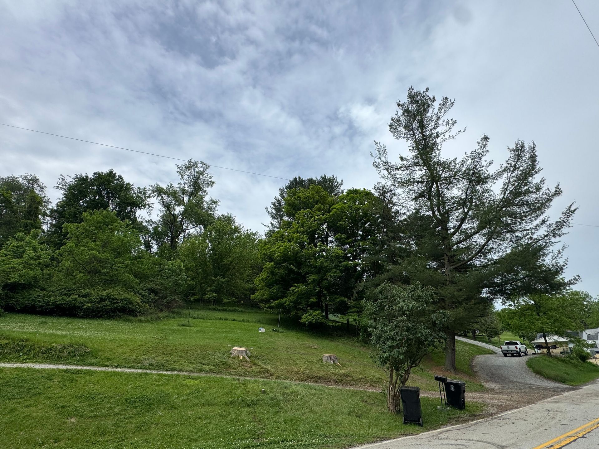 Grassy roadside hillside with trees, a cloudy sky, and a black trash bin near the curb