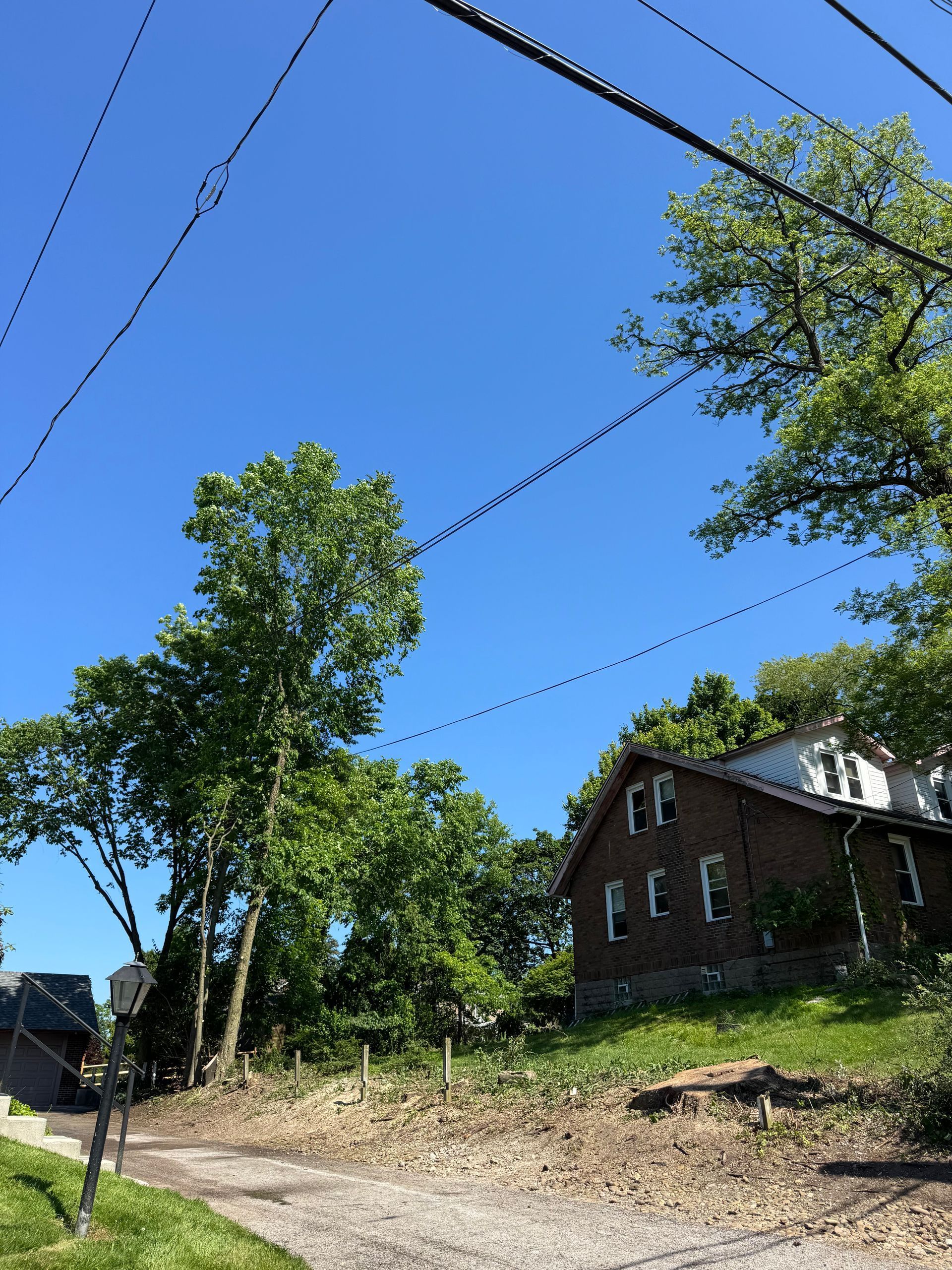 Residential street with utility wires, leafy trees, and a brick house under a clear blue sky