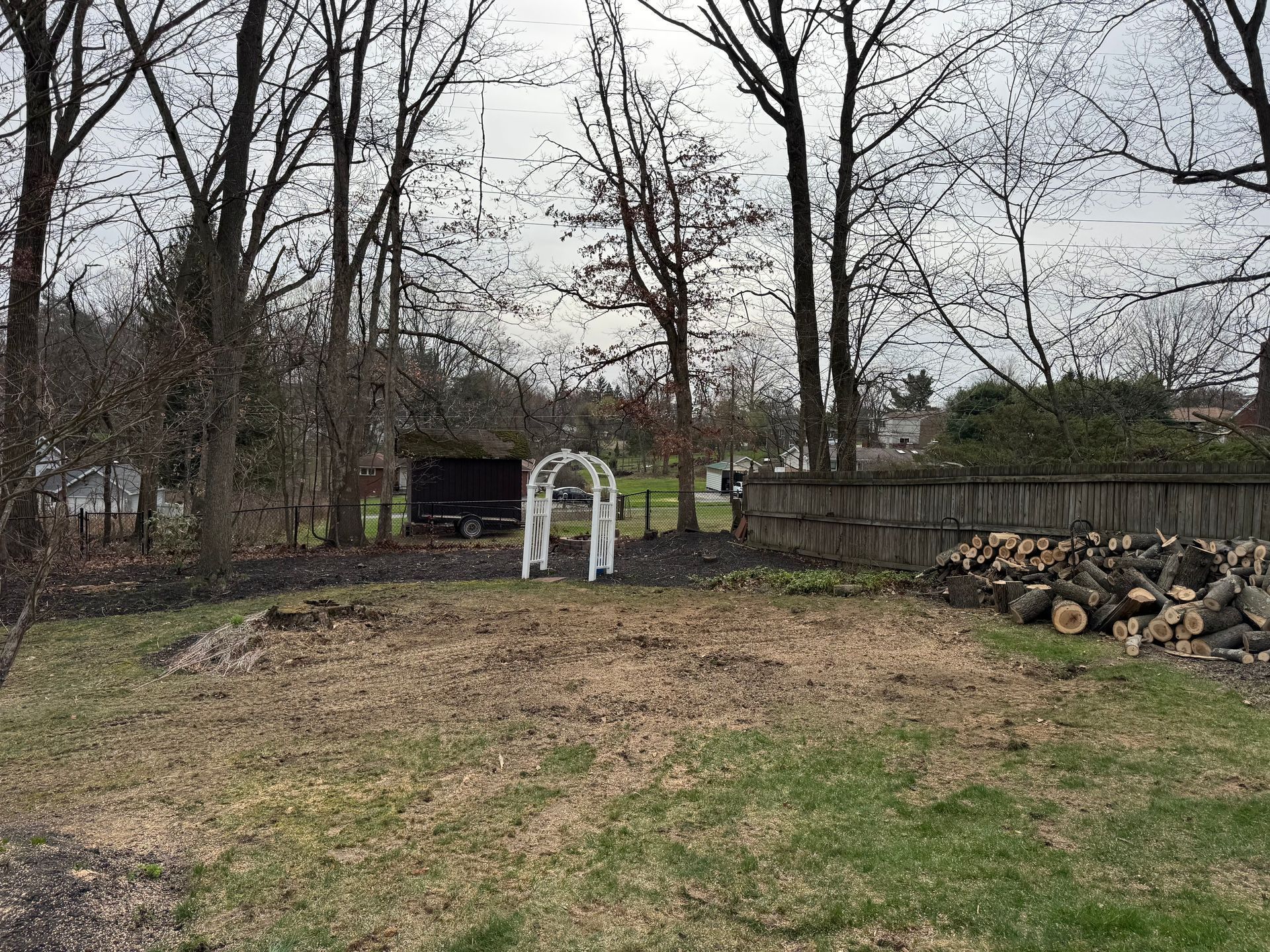 Backyard with bare trees, white arbor, stacked firewood, and a small shed under an overcast sky