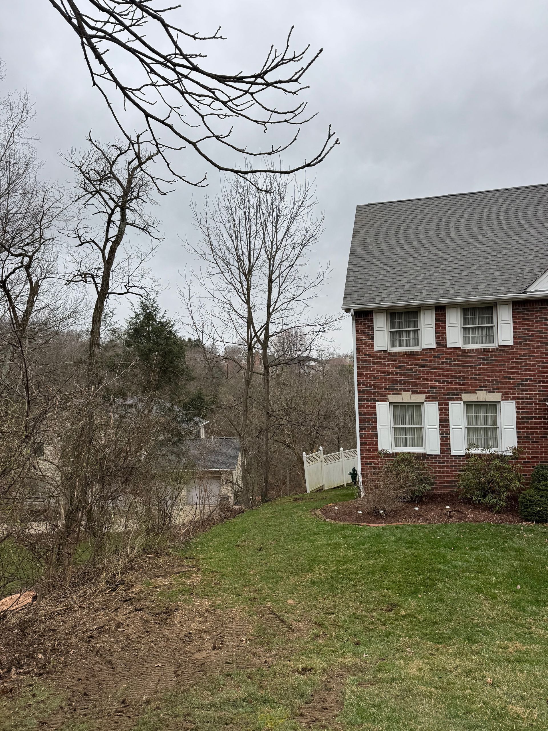 Brick house with white shutters beside a grassy yard and leafless trees under a cloudy sky