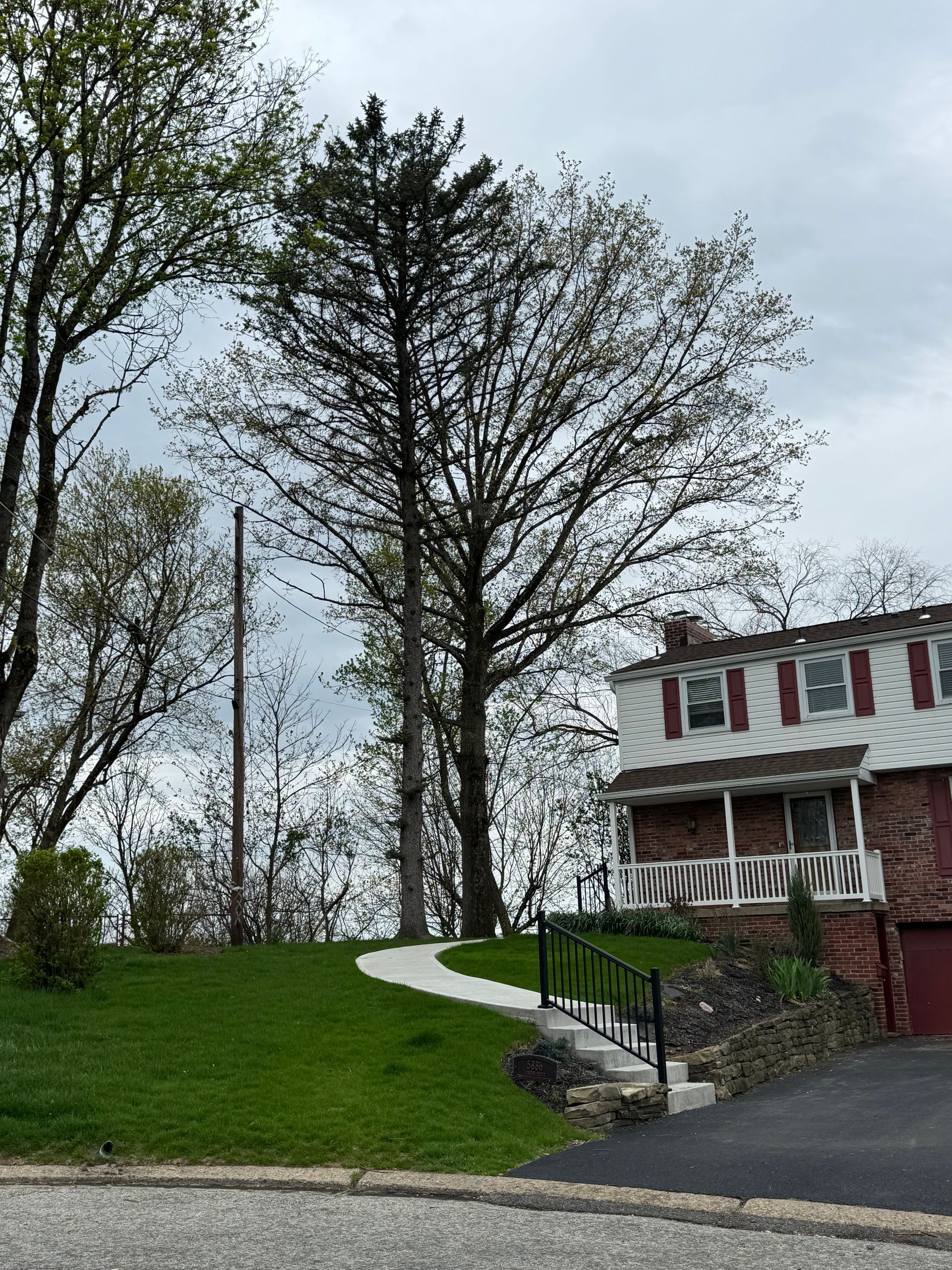 Winding sidewalk on a grassy hill beside a white house with red shutters under cloudy skies