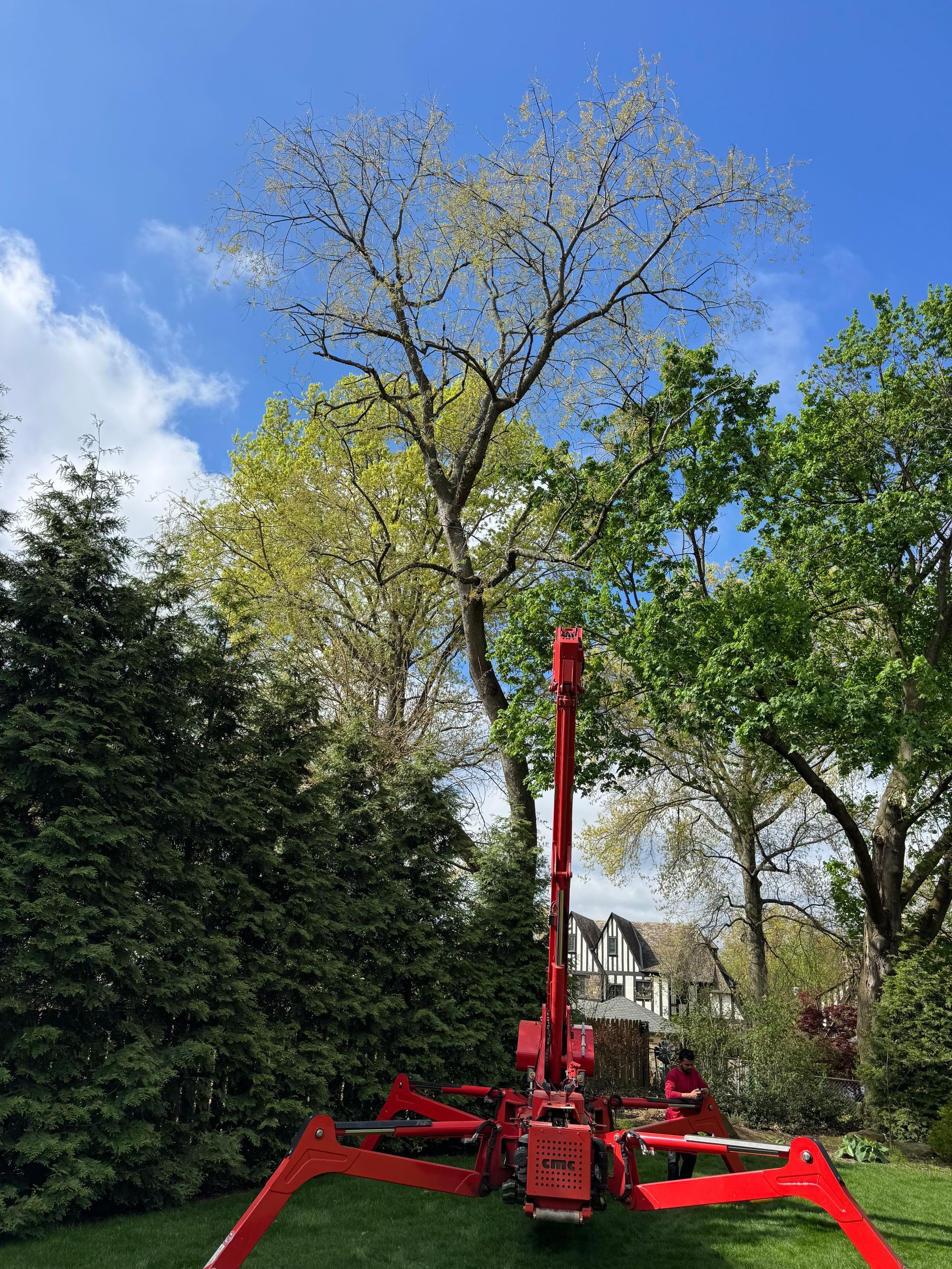 Red tree spade machine in a grassy garden beneath tall trees on a sunny day