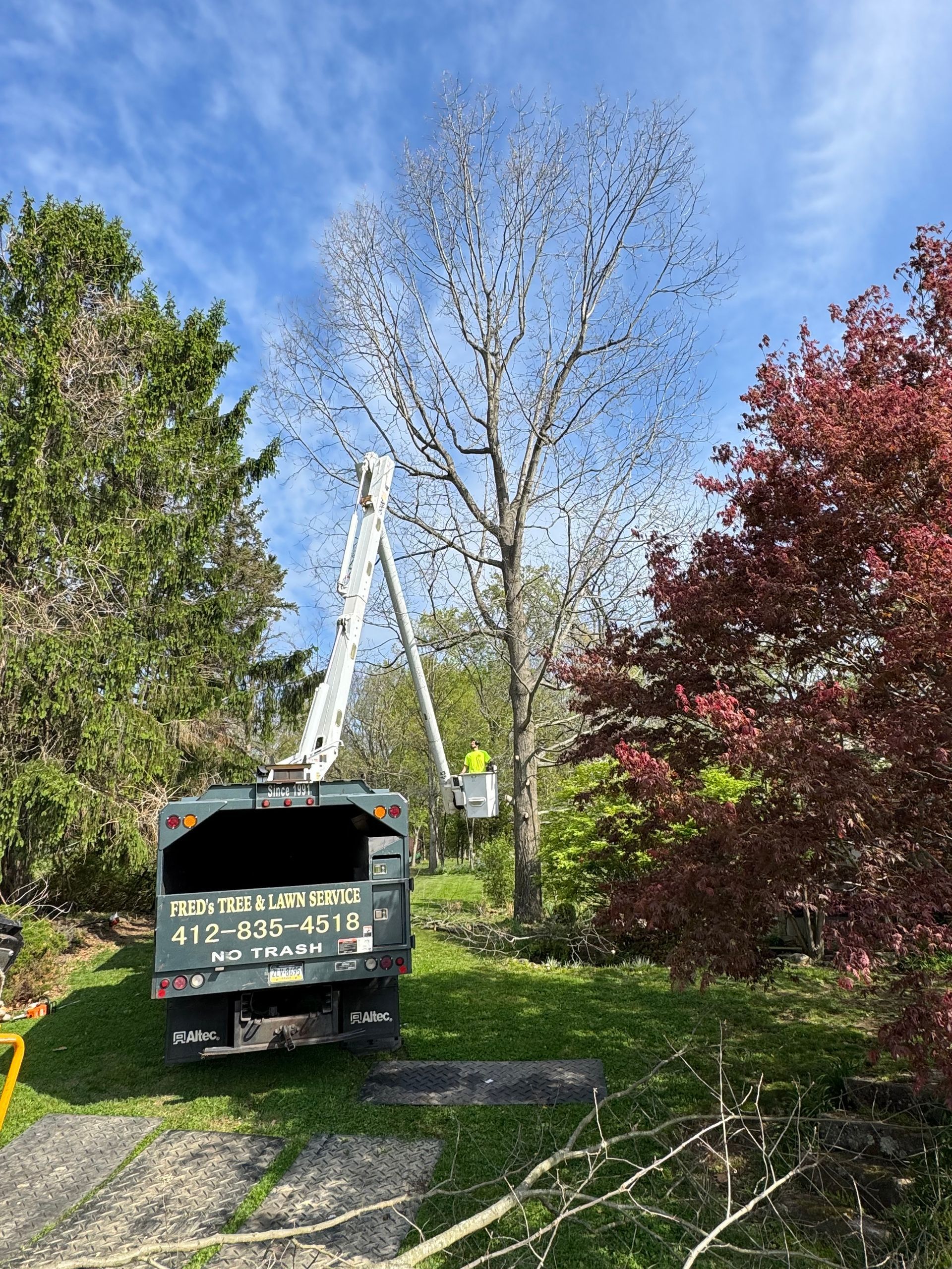 Utility truck with raised bucket near tall trees in a yard under a blue sky.