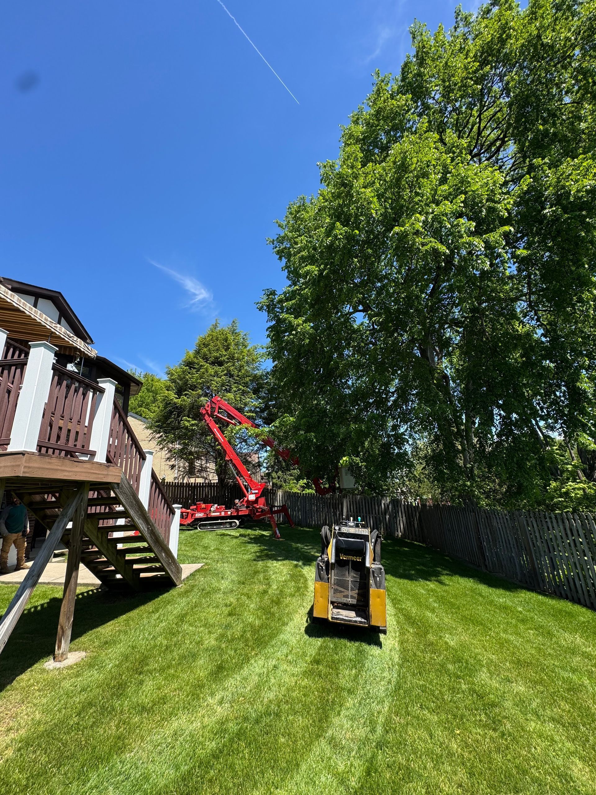 Sunny backyard with lawn, trees, a small skid steer, and a red excavator near a house deck.