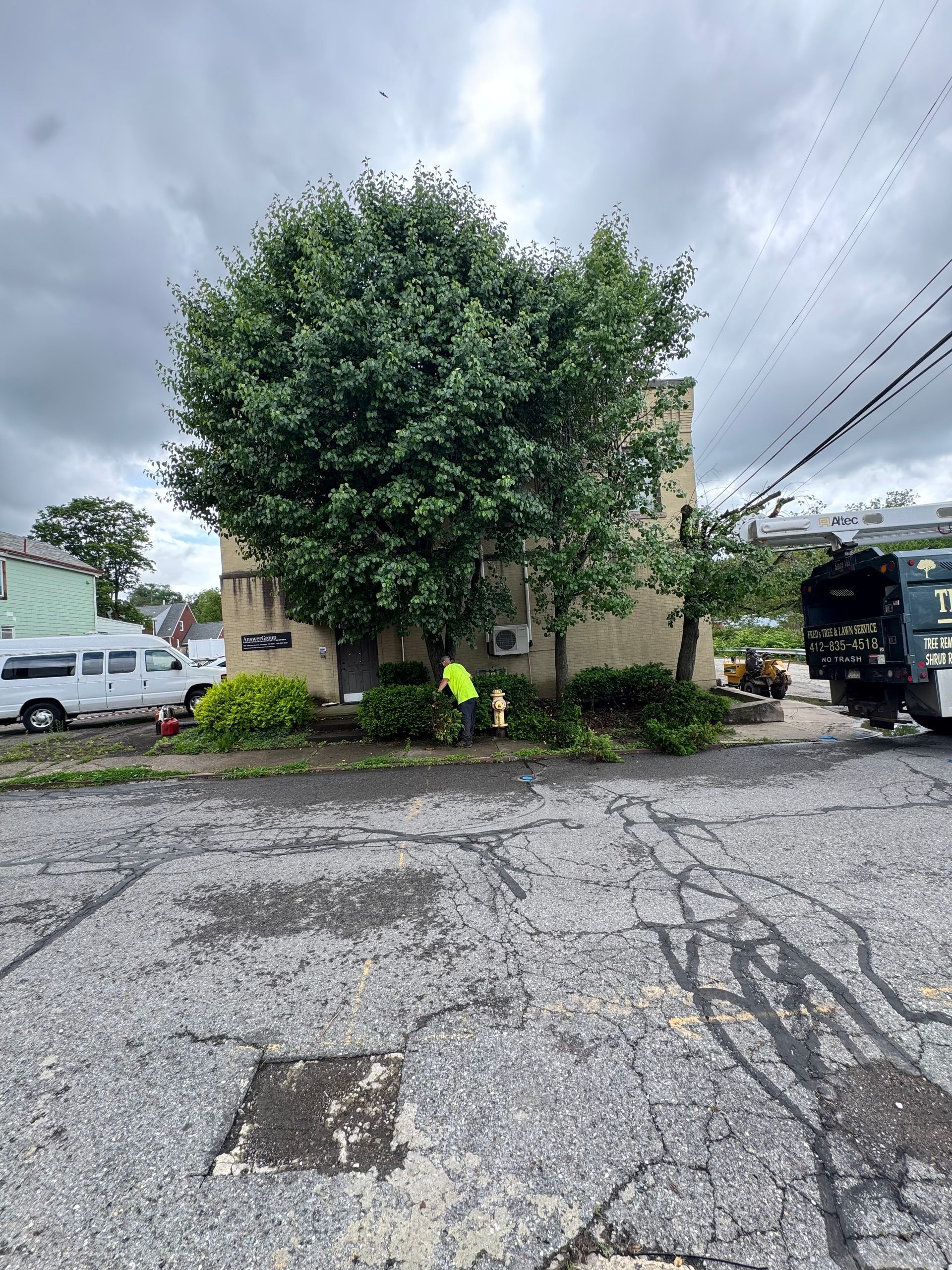 Small beige building partly hidden by a large tree, with two workers in yellow vests outside on a cloudy day.
