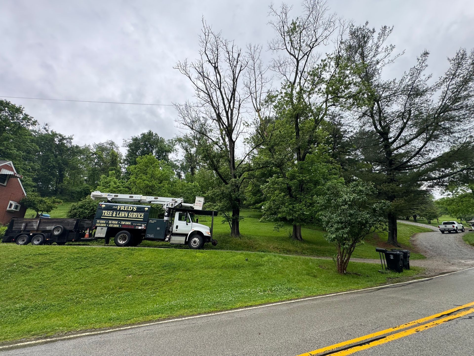 Utility truck parked on grassy roadside beside trees and a gravel drive under overcast skies