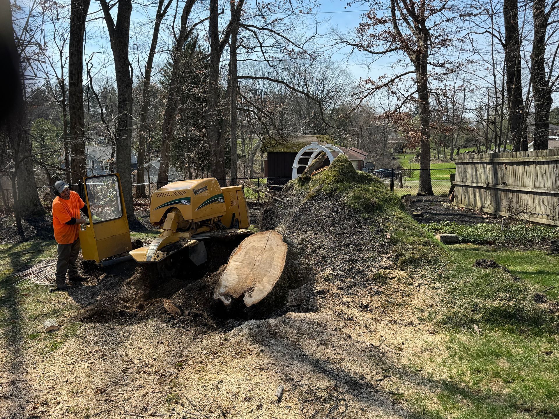 Worker in orange jacket using a yellow wood chipper to clear a fallen tree in a yard