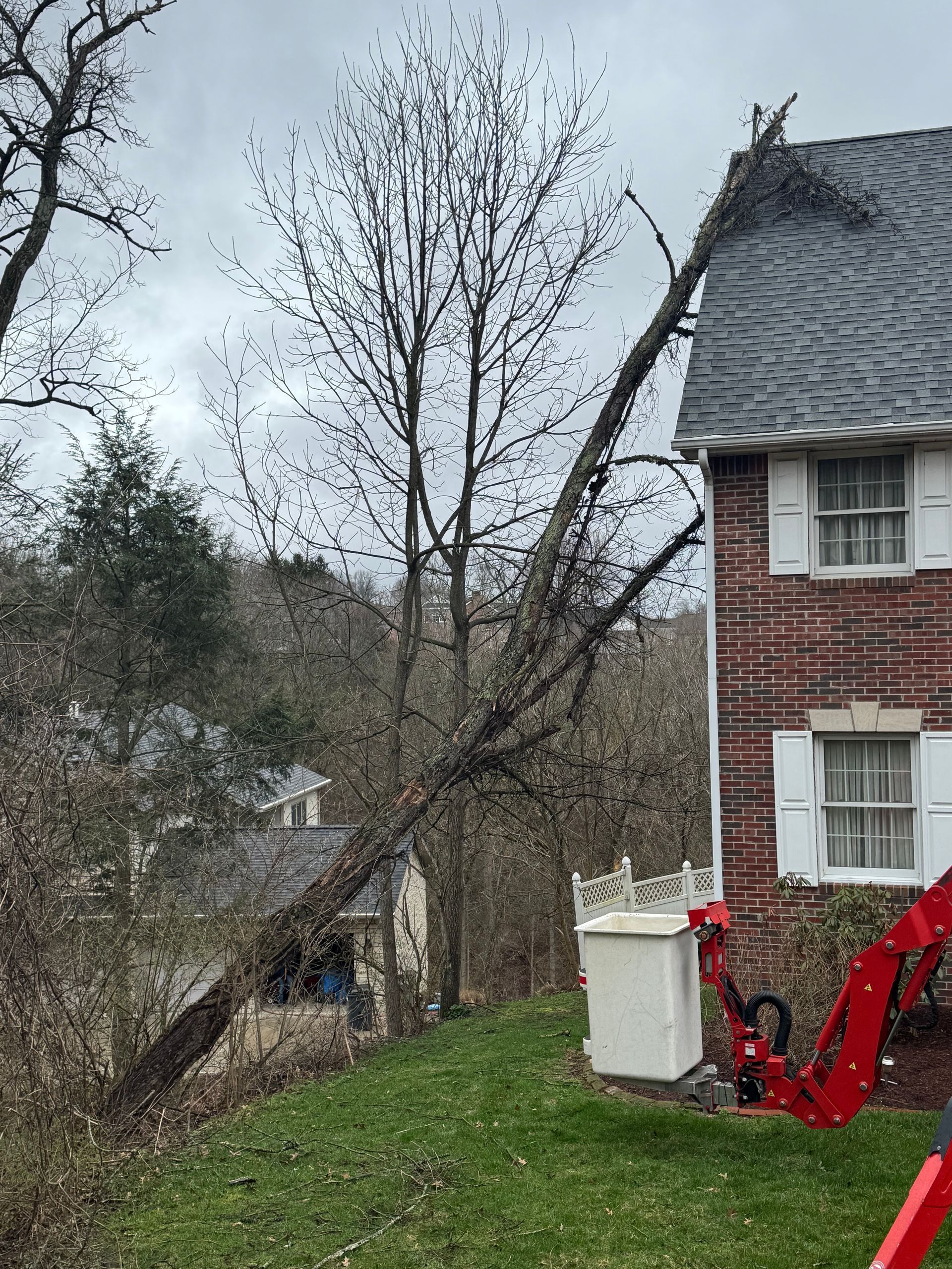 Leaning tree beside a red brick house with a steep roof, in a grassy yard under cloudy sky