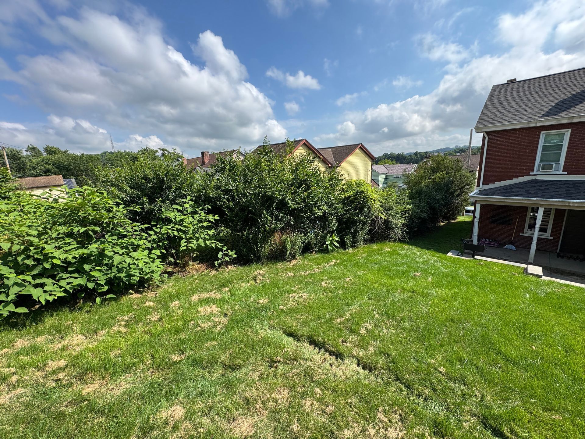 Backyard lawn with hedges, houses, and a partly cloudy sky