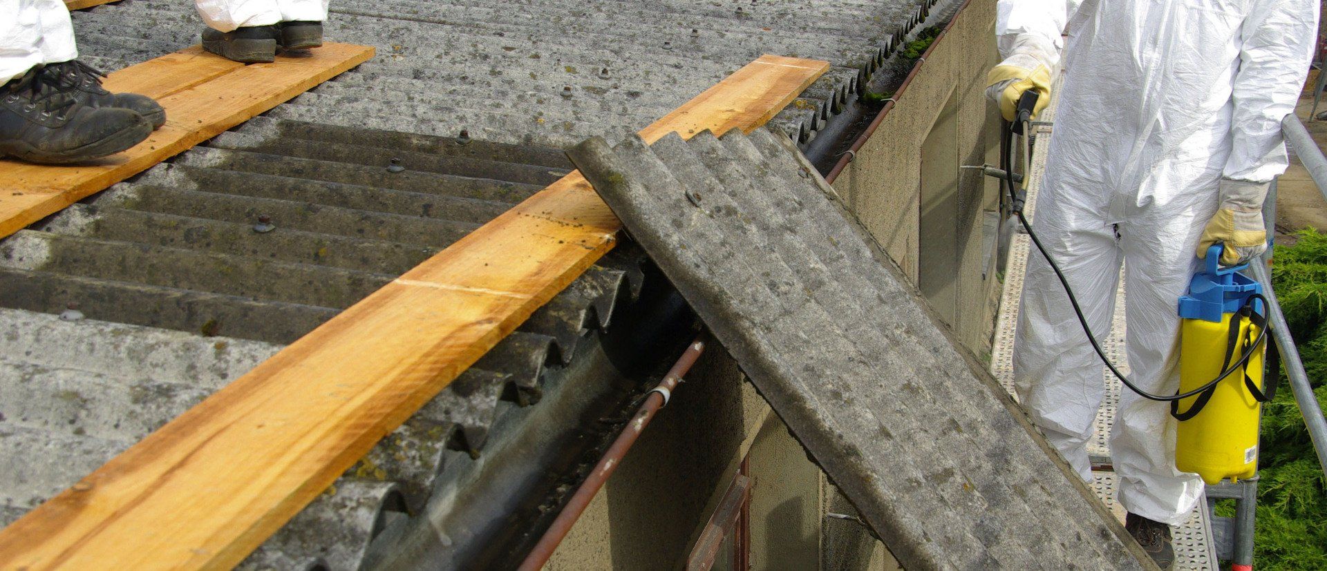 Asbestos removal services