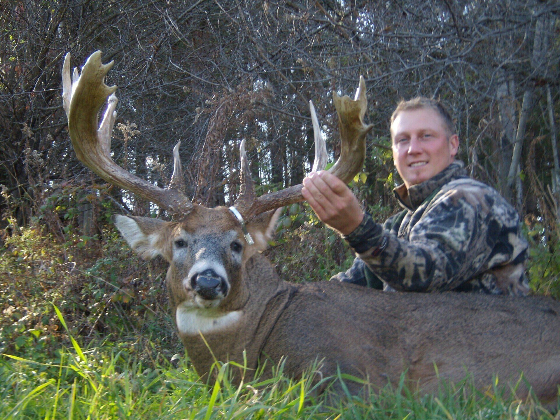 2015 Bow Buck (Halloween Buck 5)