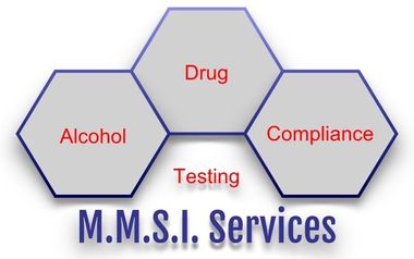 MMSI Services-Logo