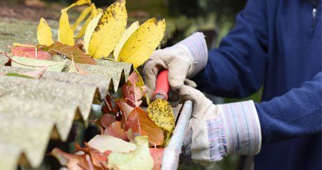 Cleaning gutter