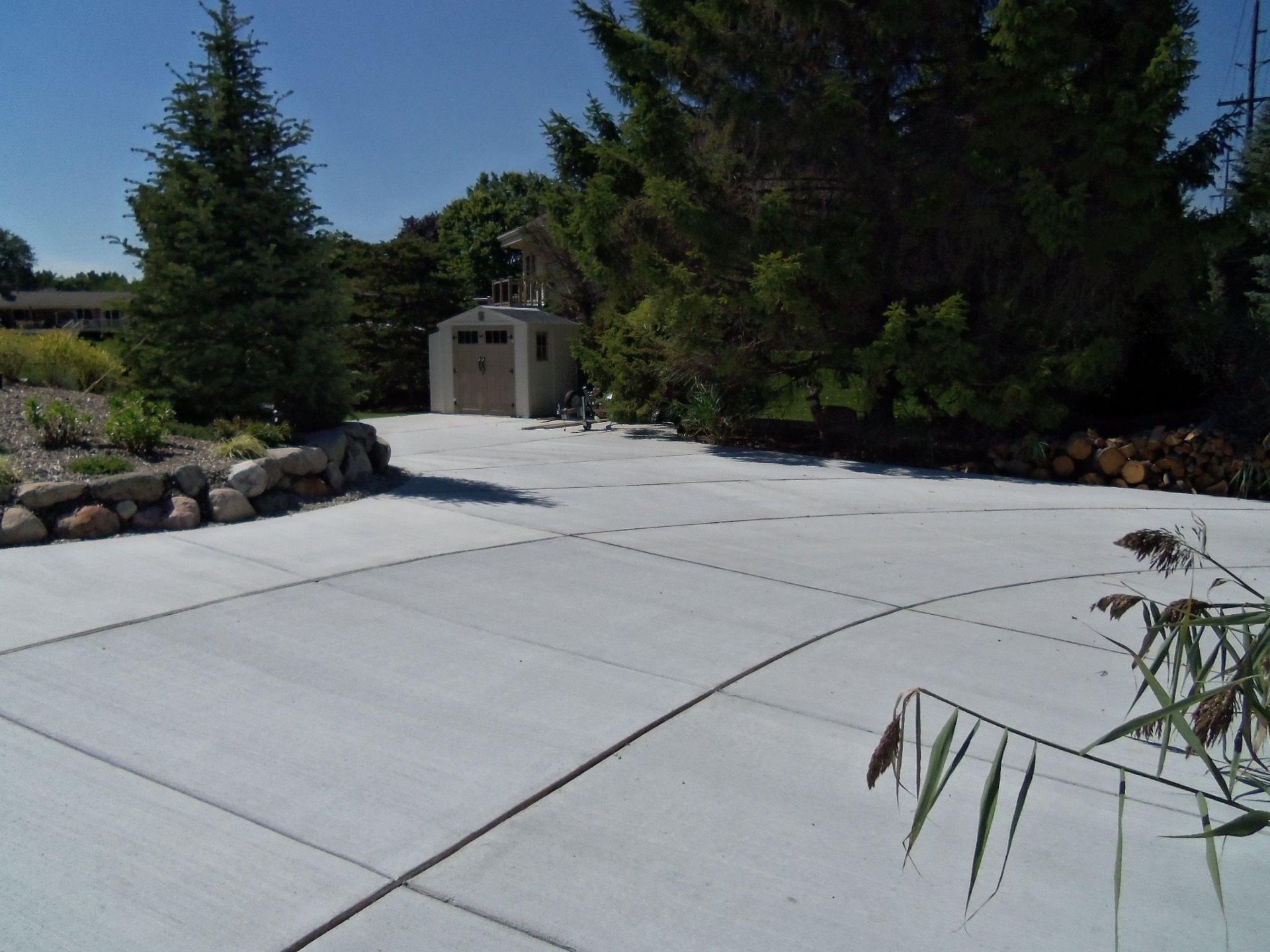 Empty concrete driveway beside trees and shrubs on a sunny day