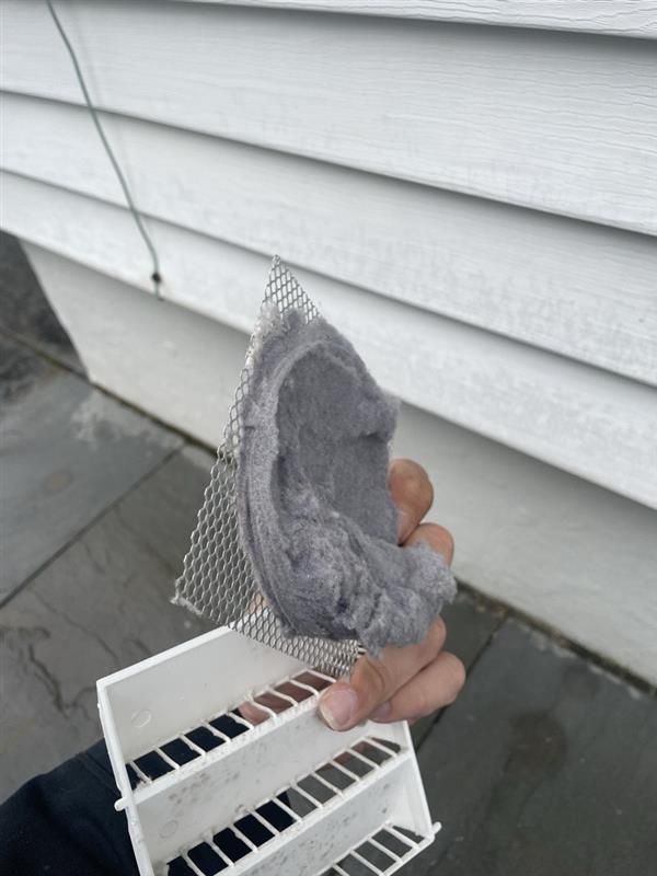 Hand holding a lint-clogged dryer vent screen against white siding.