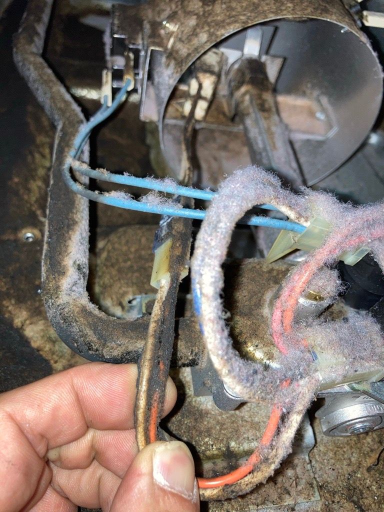 Hand holding a charred electrical wire, near a dirty dryer component covered in lint.